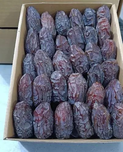 مجدول سعودي فاخر
